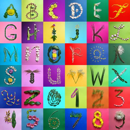 Image of the alphabet created from plants and flowers.